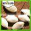 Top sales raw pumpkin seeds (light yellow color) with best price from Kingland
