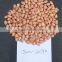 PINK SKIN JAVA PEANUT FOR SALE