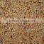 2016 Best Selling in Pakistan Exported Chilli Seed Hybrid Chilli Seeds Lowest Price Chili Seeds