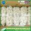 Garlic price per ton