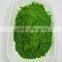 Dried Barley Grass Powder/ Wheat Grass Powder