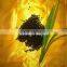 Factory Directly Provide high quality Amino Acid Fertilizer for all crops
