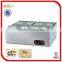 Electric Stainless Steel Table top Bain Marie EH-2