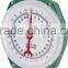 100kg Spring hanging Weighing Scale