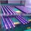 Solo led grow light spectrum king 54w led grow lighting cob led