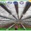 Hot Sale Galvanized Steel Pipe for Greenhouse Frame
