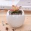 Amazon Hotsell Eggs Design Ceramic Succulent Planters