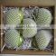 EPE Plastic Fruit Packaging Fruit Protection Net for Papaya