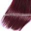 Peruvian Virgin Hair 4 Bundles Deals 99J Wine Red Straight Hair 100% Human Hair Weft Weaves Pure Color