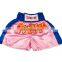 Kids Children Junior Muay Thai Boxing Shorts Kick Boxing Trunks Satin Size 2XS-M