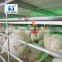 automatical nipple drinkers poultry farming equipment layer egg chicken broiler battery cage