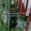 30tpd maize flour milling machine small corn flour mill plant with best price in Kenya