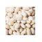 Fat burning white kidney bean extract , 1% 2% Phaseolin by HPLC