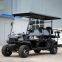 Electric golf cart with raised chassis, 6 seats