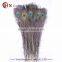 Factory Wholesale hobby lobby peacock feathers decoration