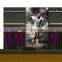 Design and produce boutique rack, clothing rack,clothing shop display design