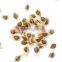 Premier Quality Moringa Seed powder Bulk Producers