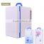 16L mini refrigerator 12V DC Fridge YTBL-16L