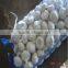 HDPE tubular drawstring mesh bag for garlic packing