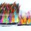 10 Yards Mixed Color Rooster Tail Feather Trim Ribbon For Night Dress Decoration