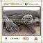 GB or AISI Standard Q195 Q235 Steel Rebar GR40 GR60 Iron Bar for Choose