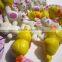 2016 new water growing Chirstmas toys suprise toys animal shape toys