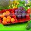 China Professional Manufacturer&Exporter FDA Approval Plastic Fresh Meat Container