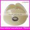 Electrical Polyester Mylar Tape