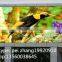 2015 world high brightness waterproof outdoor P7 full color LED display