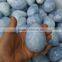 wholesale natural rock blue calcite gemstone eggs crystal stone eggs for sale
