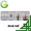 Organic fertilizer F-HUMIC STAR 100 for agriculture