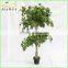 Making Artificial Decorative White Birch Trees Plastic Trunk