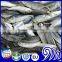 Frozen Round Scad Best Price Of Frozen Round Scad Mackerel Fish