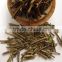 High Quality Green Tea Stype Stick_Vietnamese Low Price Green Tea