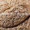Premium Sesame Seeds