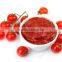 Tomato Paste, ( Sachet Tomato Paste, Canned Tomato Paste, Tinned Tomato Paste