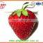 A13 15-25 mm Best quality Whole Fresh Strawberry