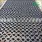 Concreting plant ecology pouring pile strawberry flower grass ground floor parking lot pavement Stone clover mold
