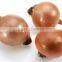 Shandong/Gansu High Quality Red/Yellow Onion