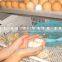 High hatching rate HHD brand automatic egg incubator hatchery price for sale YZITE-16