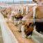 Cow Straw Feed Cutting Machine / Cow Feed Grass Cutter Machine / Feed Mixer Wagon