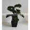 SJ0301125 Guangzhou Shengjie Artificial plant wholesale cypress bonsai tree