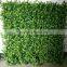 Outside wall plants decoration