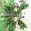 Home garden edging decorative 7.5ft Height 700 pcs of pine tips artificial green plastic LED lights christmas trees ESDS11 1703