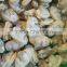 Frozen Boiled Clam Meat Bulk Packing in Shellfish