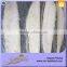 Double Clean Halal Seafood Top Quality Frozen Cooked Tuna Loin