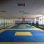 High quality puzzle mat EVA foam mat as taekwondo mat