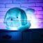 LED Night Light Up Plush Dog Toys