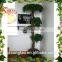 Realistic mini bonsai tree pot culture wholesale