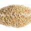 Chenopodium Quinoa Seed